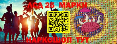 гидра Коммунар