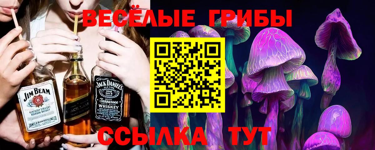 Кандалакша  Псилоцибиновые грибы Magic Shrooms  Вход с VPN 