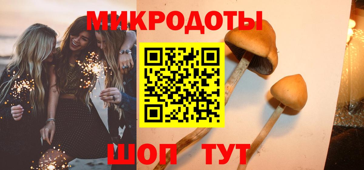 Галлюциногенные грибы прущие грибы Кандалакша